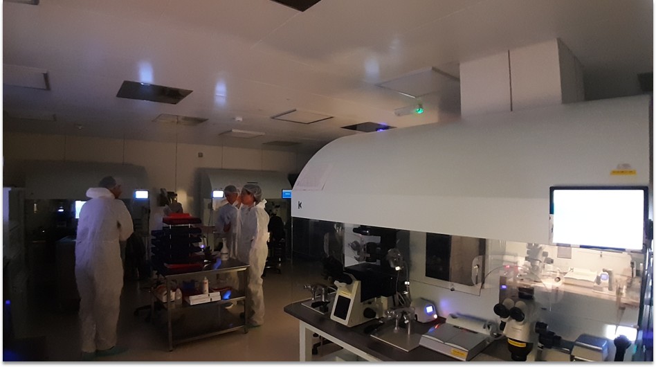 IVI Middle East fertility lab, Abu Dhabi — designed by Studio Syntropy